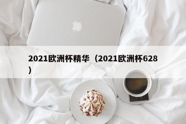 2021欧洲杯精华（2021欧洲杯628）