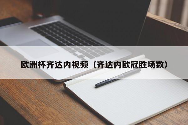 欧洲杯齐达内视频（齐达内欧冠胜场数）