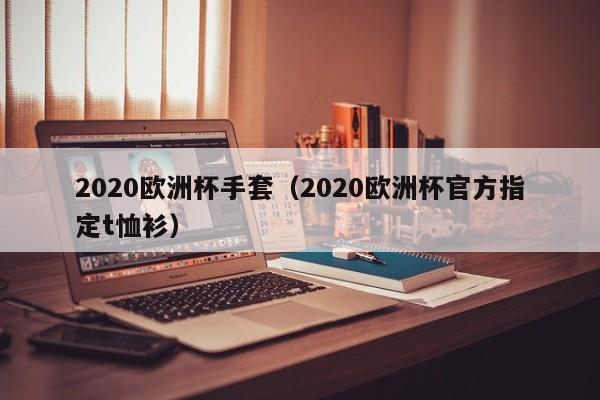 2020欧洲杯手套（2020欧洲杯官方指定t恤衫）