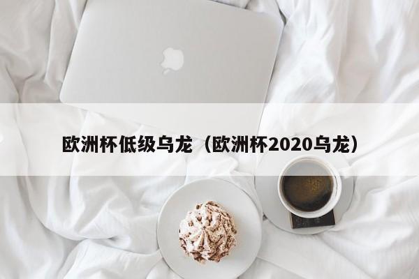 欧洲杯低级乌龙（欧洲杯2020乌龙）