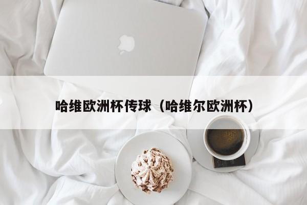 哈维欧洲杯传球（哈维尔欧洲杯）