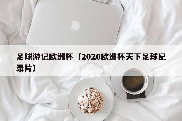 足球游记欧洲杯（2020欧洲杯天下足球纪录片）