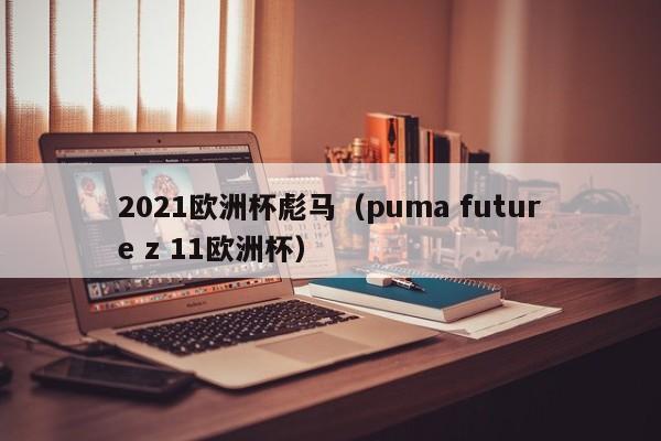 2021欧洲杯彪马（puma future z 11欧洲杯）