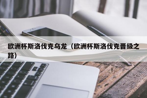 欧洲杯斯洛伐克乌龙（欧洲杯斯洛伐克晋级之路）