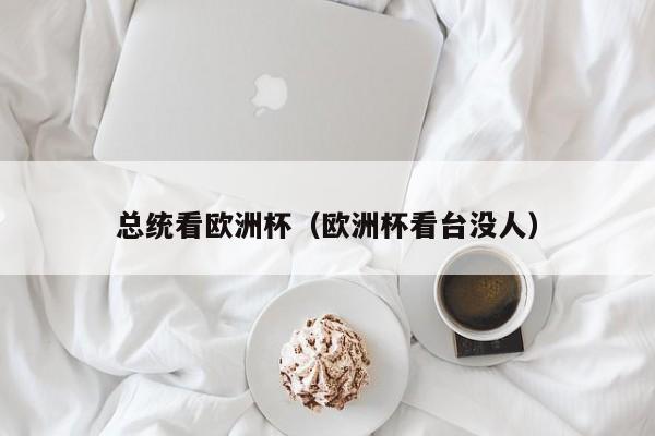 总统看欧洲杯（欧洲杯看台没人）