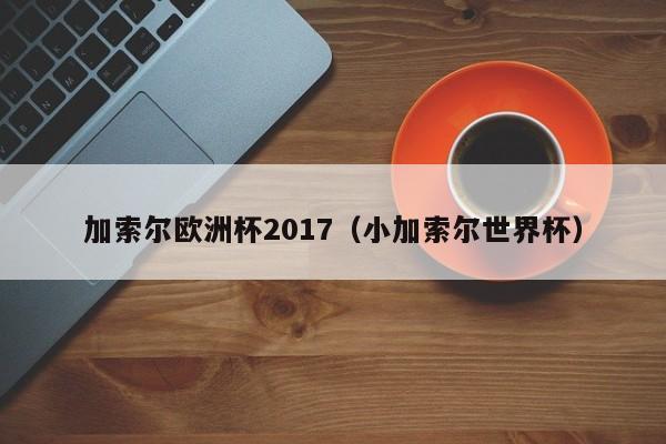 加索尔欧洲杯2017（小加索尔世界杯）