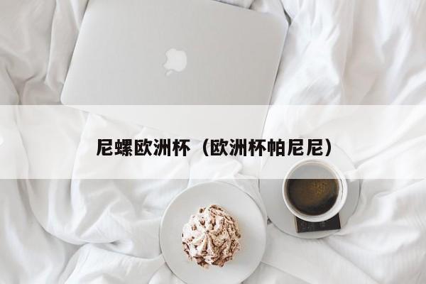 尼螺欧洲杯（欧洲杯帕尼尼）