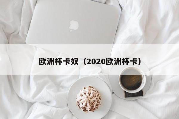 欧洲杯卡奴（2020欧洲杯卡）