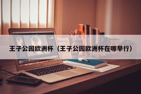 王子公园欧洲杯（王子公园欧洲杯在哪举行）