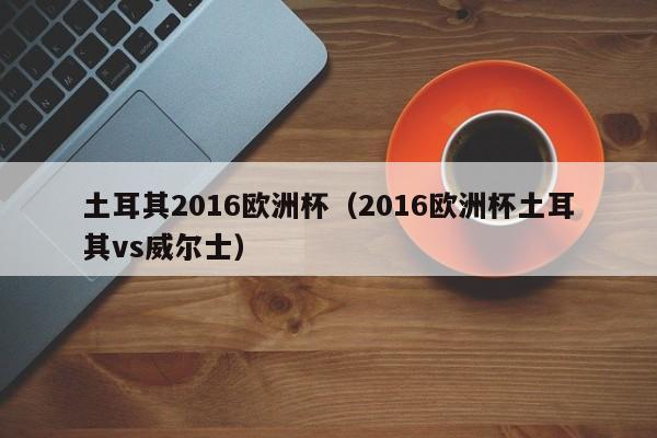 土耳其2016欧洲杯（2016欧洲杯土耳其vs威尔士）