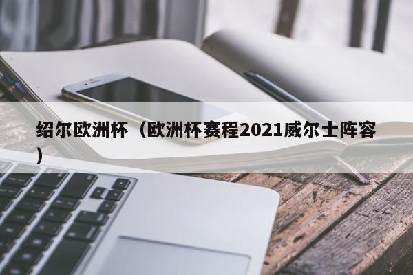 绍尔欧洲杯（欧洲杯赛程2021威尔士阵容）