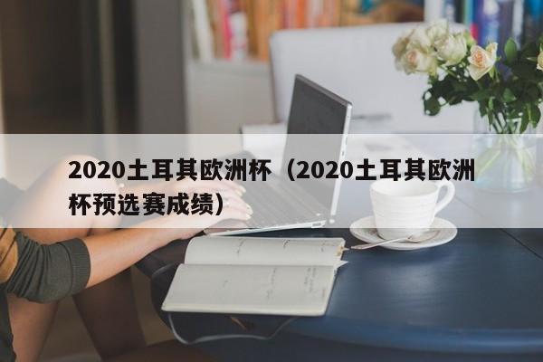 2020土耳其欧洲杯（2020土耳其欧洲杯预选赛成绩）