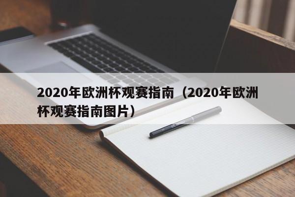 2020年欧洲杯观赛指南（2020年欧洲杯观赛指南图片）